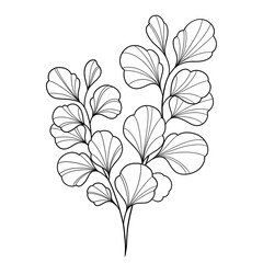 Floral PNG Clipart Botanical illustration 