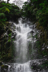 Fototapeta premium majestic waterfall in Costa Rica