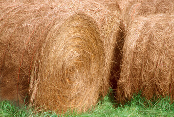 Round hay bales in Vermont