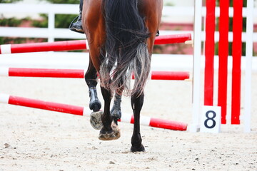 Horse pass the line to barrier. Equestrian sports details. Gallop of a dark tail bay horse. Horse...