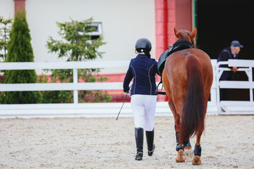 The rider and the horse leave the arena. Rear view. Elimination due to a rider's fall