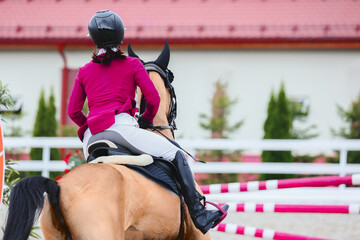 Rider pass the line to barrier. Equestrian sports details. . Horse Jumping, Show Jumping