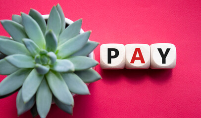 Pay symbol. Wooden cubes with words Pay. Beautiful red background with succulent plant. Business...