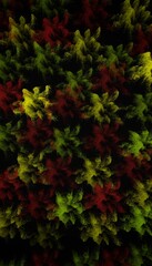 red and green leaves