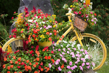 Fototapeta na wymiar Yellow bike surrounded with flowers in Vermont,