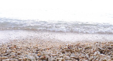 Fototapeta na wymiar beach sand and sea wave on white background, soft focus.