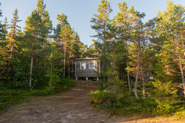 A forester's hut in an old pine forest in a vintage style