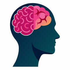 Human Head Brain Vector Illustrations