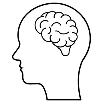 Human Head Brain Vector Illustrations