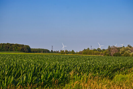 Wind turbines connecting to the grid from rural farmland , Lucknow, ON, Canada