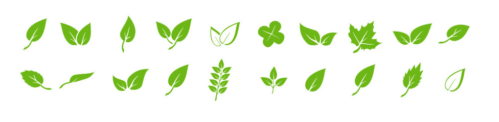 Green leaf icons set. Elements design for natural, eco, vegan. Leaves icon on isolated background. Collection green leaf. Vector