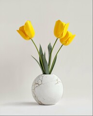 tulips in vase isolated on white background
