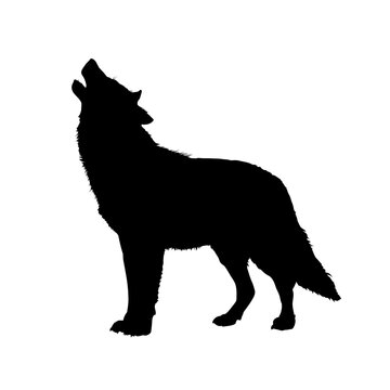 recommend clip art: The silhouette of a wolf howling at the moon