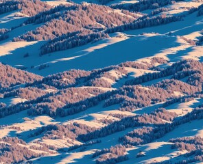 Winter Scene with Trees and Snow - seamless and tileable