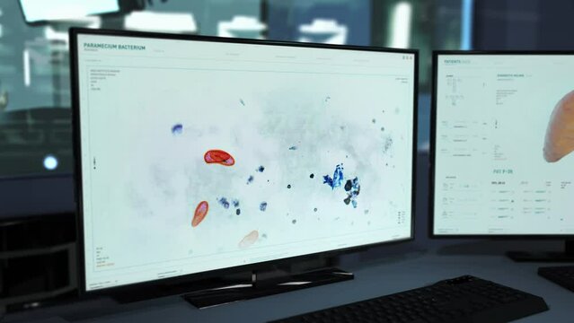 Microscopic inspection of the paramecium organisms for biological research. Microscopic research of the paramecium cell in laboratory. Microscopic study of paramecium structure for scientific research