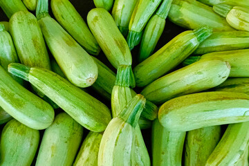 zucchini vegetable - abobrinha - squash - courgette stock photo