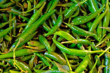 green chillis in the market closeup HD