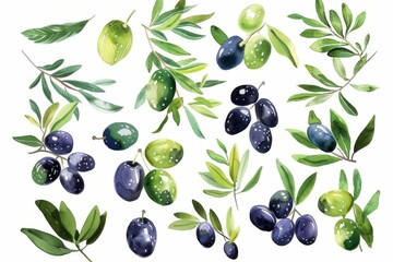 Watercolor illustration set featuring vibrant green and black olives, symbolizing healthy living and culinary design