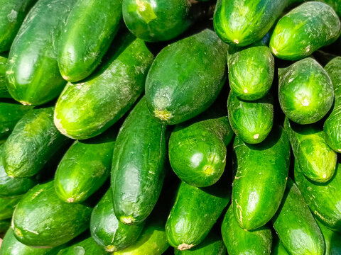 fresh cucumbers closeup stock photo