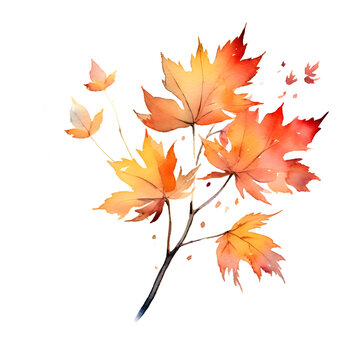 twig with autumn leaves in watercolor painting desgin isolated against transparent background