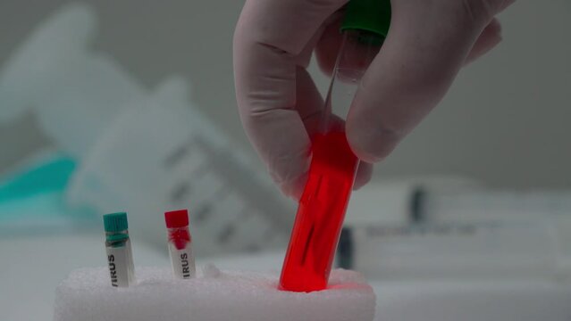 Clinical Analysis in Progress Test Tubes, Blood and Laboratory Equipment 2