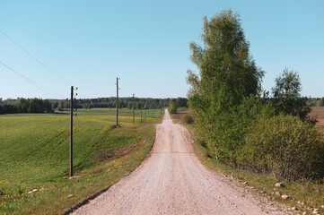 Fototapeta na wymiar Rural landscape with a country road, trees and electricity poles