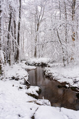 Stream of water flowing through forest with snow covered trees, gothenburg sweden