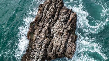 Aerial View of Seals Relaxing on Seal Rock in San Clemente