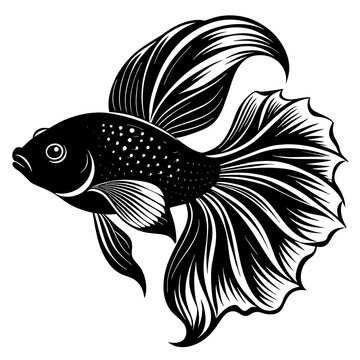recommend clip art: betta fish silhouette vector illustration