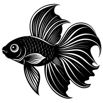 recommend clip art: betta fish silhouette vector illustration