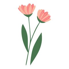 Vector set of spring Easter flowers in flat style isolated on white background.