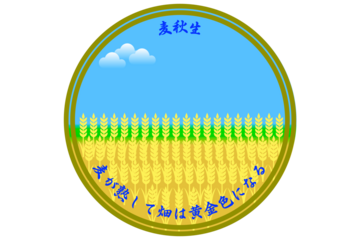麦秋生　ばくしゅういたる　麦が熟して畑は黄金色になる