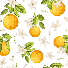 Seamless floral pattern with oranges. Vector illustration. - 778522161