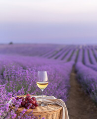 Glass of white wine in a lavender field. Violet flowers on the background. - 778522967