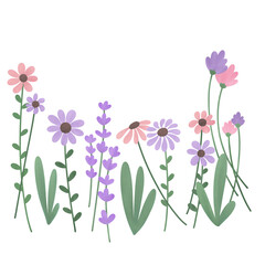 spring flowers border