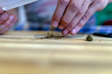 Close up at the Hands of an Adult Caucasian Man Rolling a Marijuana Joint. Preparing and Rolling...