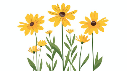 Flowers with yellow strips flat vector isolated on white