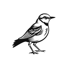Fototapeta premium simple element illustration of bird logo