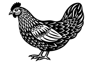 Fototapeta na wymiar hen-white-background vector illustration 