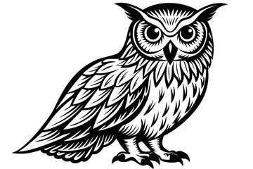 owl--on-a-white-background vector illustration 
