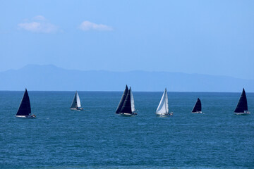 group of sailboats on a windy day