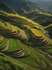  A magnificent landscape unfolds as terraced rice fields cascade down the mountainside. © Lofty