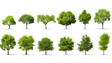 collection of trees