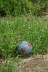 Fototapeta premium soccer ball on grass