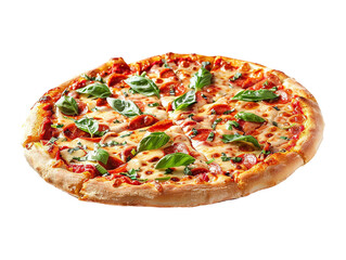 pizza fastfood isolated