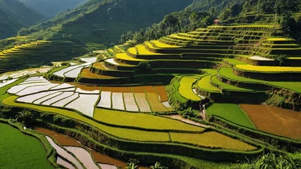 Fotobehang A magnificent landscape unfolds as terraced rice fields cascade down the mountainside. © Lofty