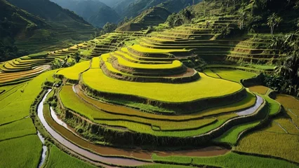 Selbstklebende Fototapeten A magnificent landscape unfolds as terraced rice fields cascade down the mountainside. © Lofty