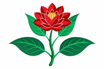 Amarnath-wild-red-flower-green-leaves vector illustration 