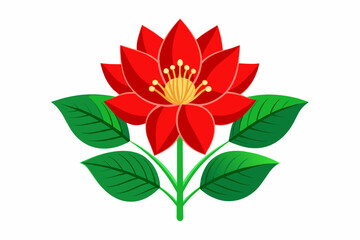 Amarnath-wild-red-flower-green-leaves vector illustration 