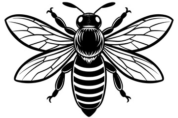 bee-on-white-background--vector-illustration